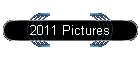 2011 Pictures